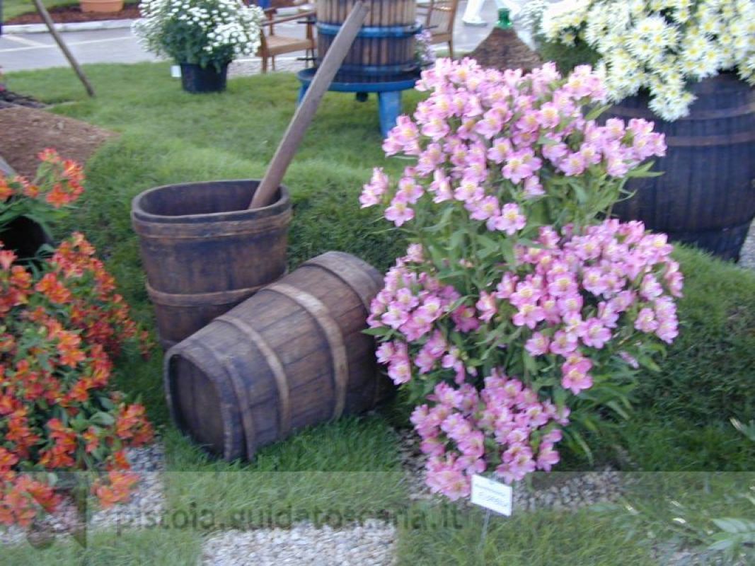 Composizione floreale